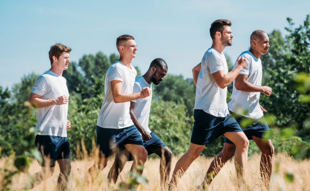 OneView Datasheet – Defence